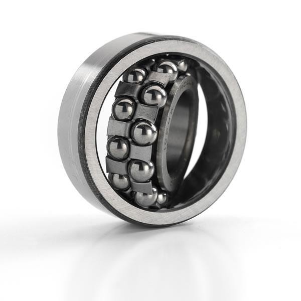 Rolamentos de esferas autoalinhados 2205ETN9 SS2205-2RS S2205-2RS para máquinas de metalurgia